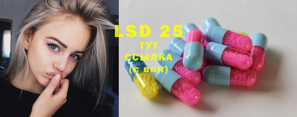 крисы Сосновка