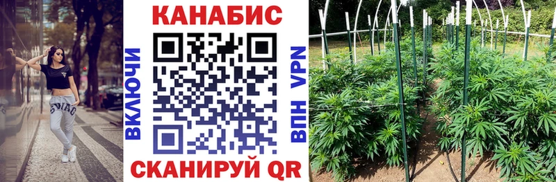 наркота  Шиханы  Бошки марихуана конопля 
